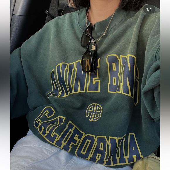 Anine Bing Jaci Sweatshirt in Washed Faded Green Size Medium - Picture 6 of 12